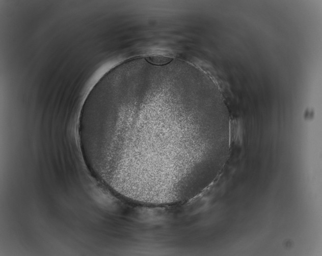 X0000102030147200808081820