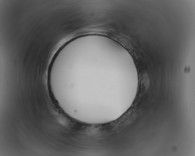 X0000102030148200808081820