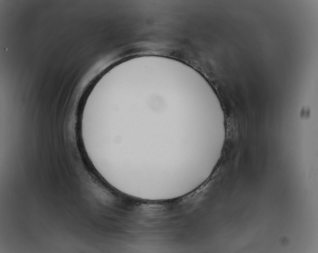 X0000102030150200808081820