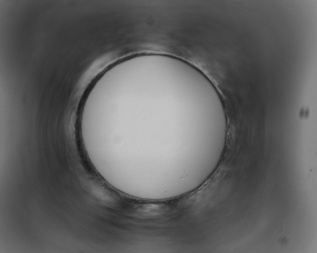 X0000102030151200808081820