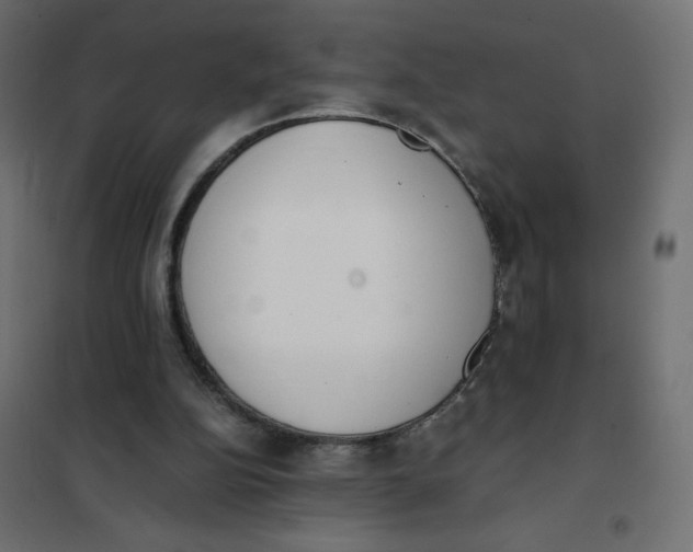 X0000102030152200808081820