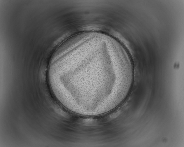 X0000102030153200808081820