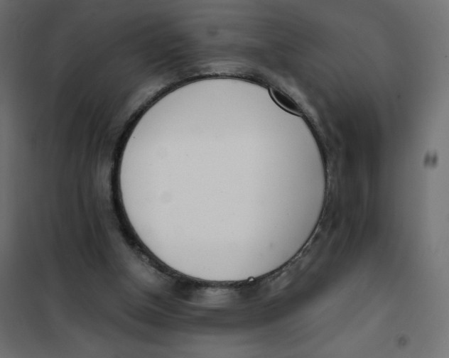 X0000102030154200808081820