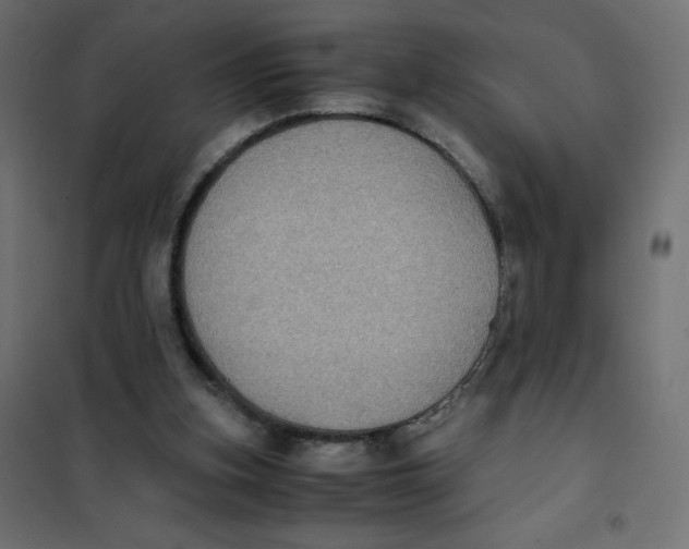 X0000102030155200808081820