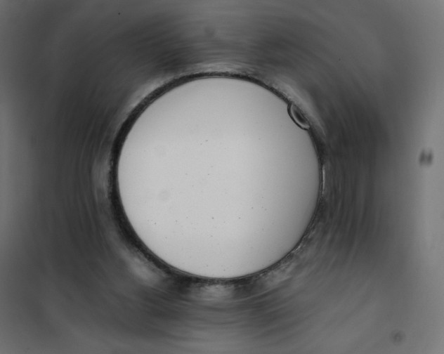 X0000102030156200808081820