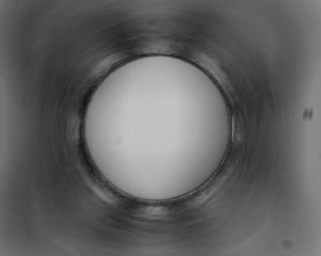 X0000102030157200808081820