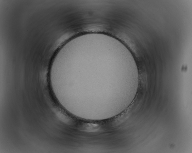 X0000102030159200808081820