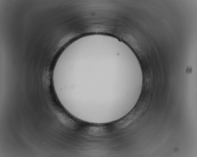 X0000102030160200808081820