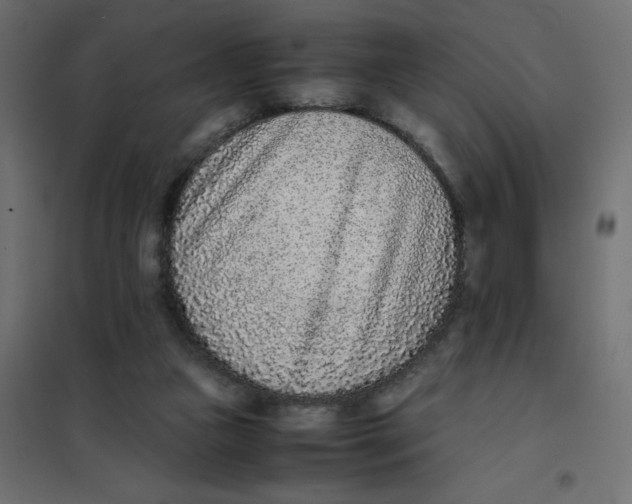 X0000102030161200808081820