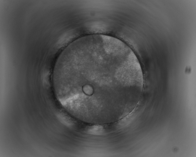 X0000102030162200808081820