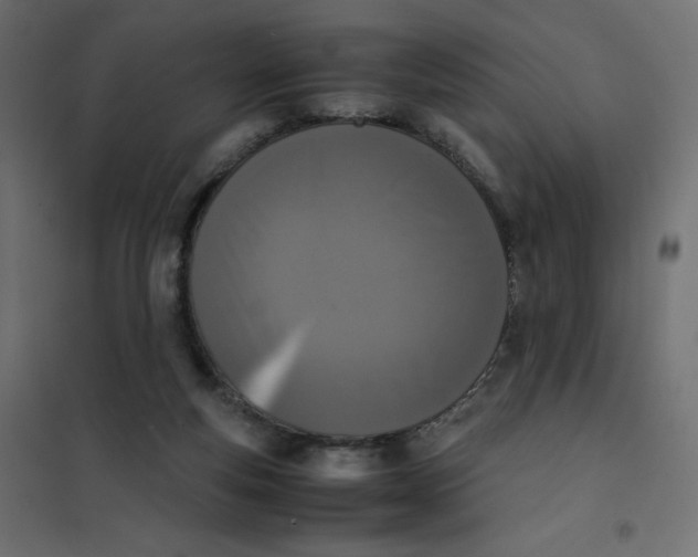 X0000102030163200808081820