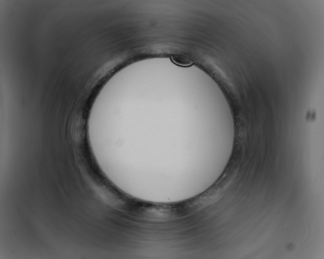 X0000102030164200808081820