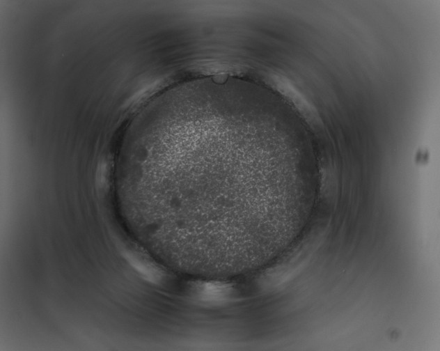 X0000102030165200808081820