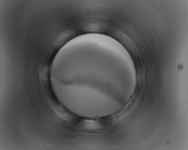 X0000102030167200808081820