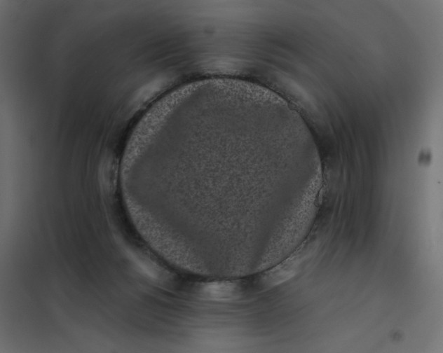 X0000102030168200808081820