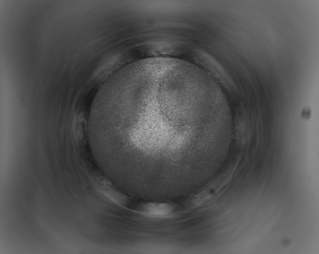 X0000102030169200808081820