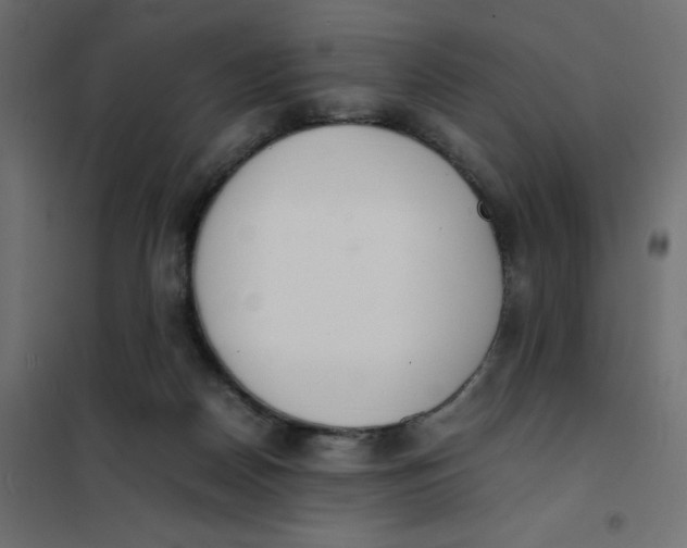 X0000102030170200808081820