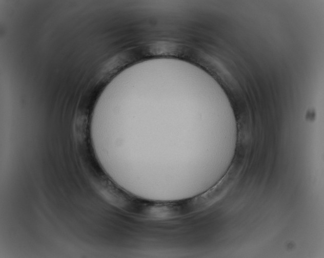 X0000102030171200808081820