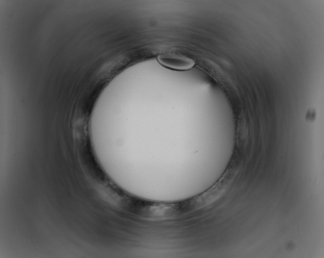 X0000102030172200808081820