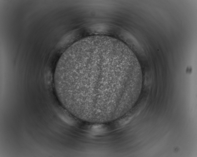 X0000102030173200808081820