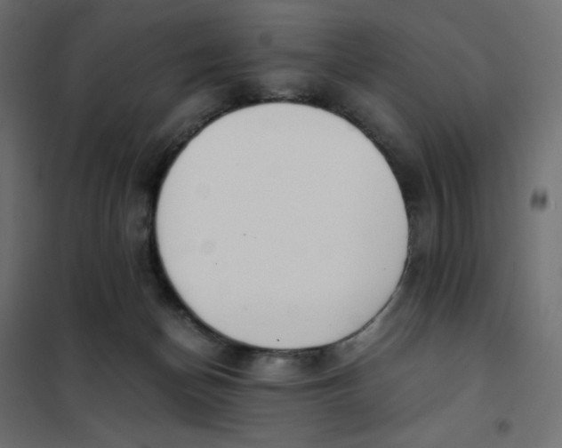 X0000102030174200808081820