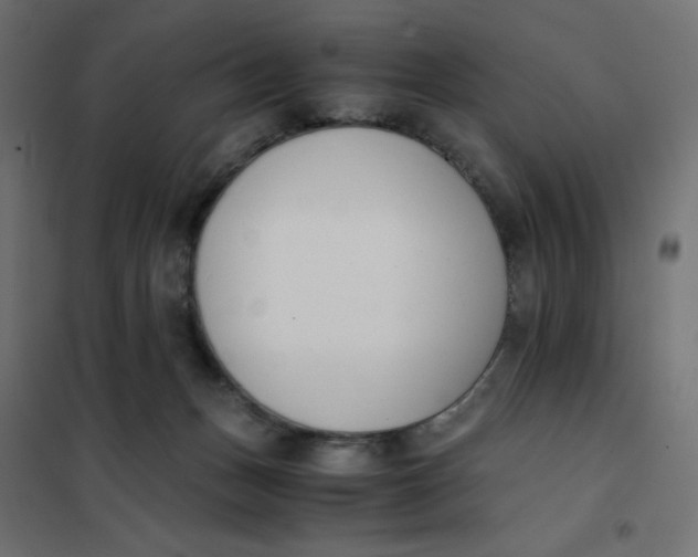 X0000102030175200808081820