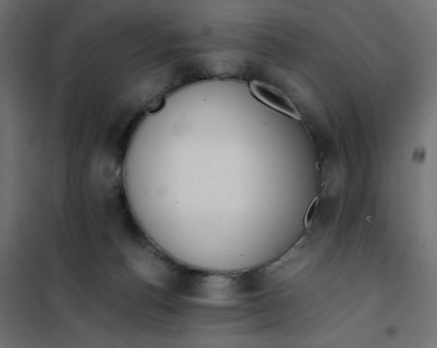 X0000102030176200808081820