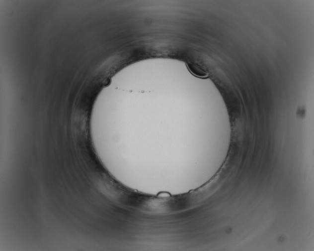 X0000102030178200808081820