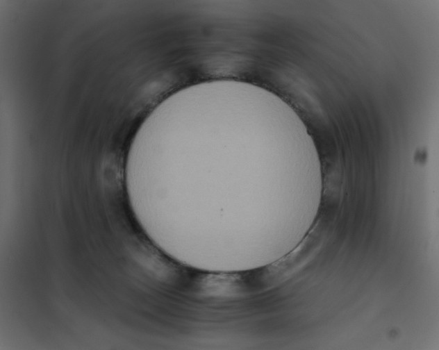 X0000102030179200808081820