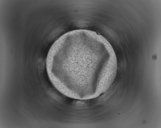 X0000102030180200808081820