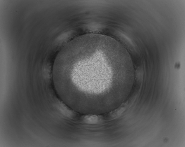 X0000102030181200808081820