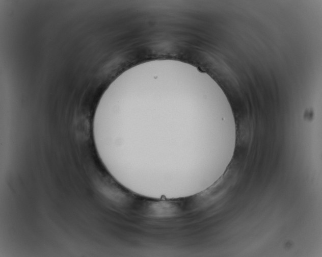 X0000102030183200808081820