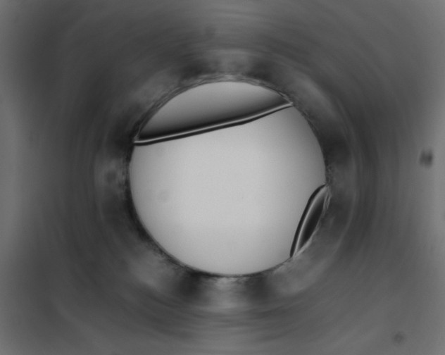 X0000102030184200808081820