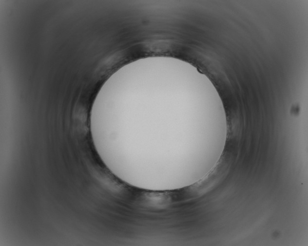 X0000102030187200808081820