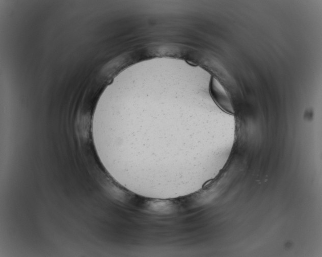 X0000102030189200808081820