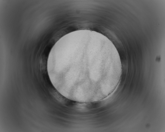 X0000102030190200808081820