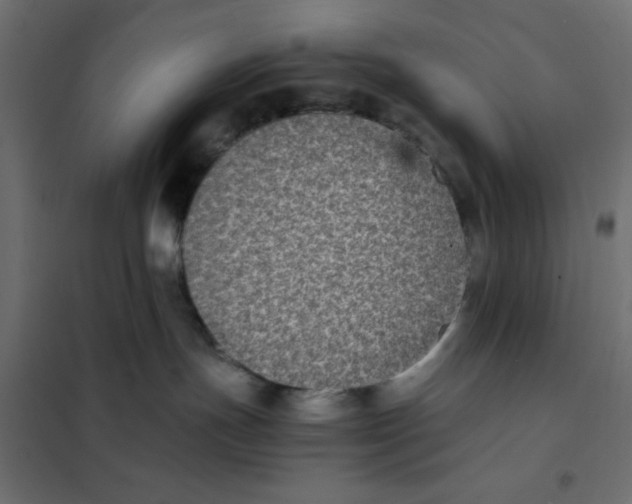 X0000102030191200808081820