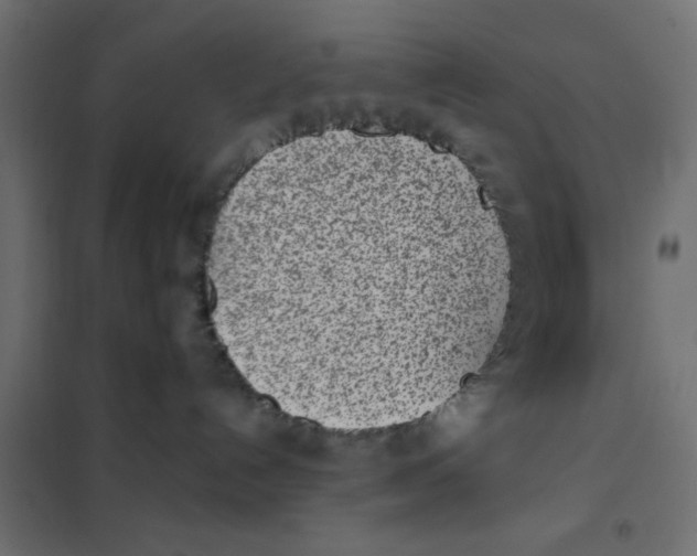 X0000102030192200808081820