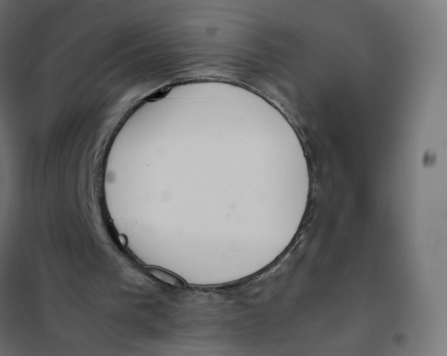 X0000102030193200808081820