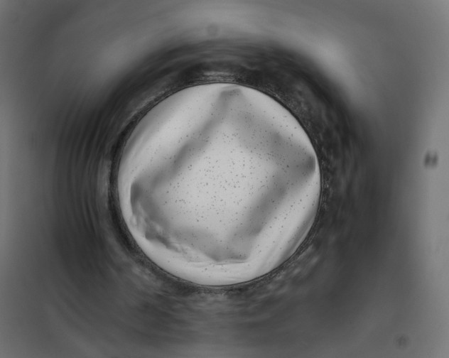 X0000102030194200808081820