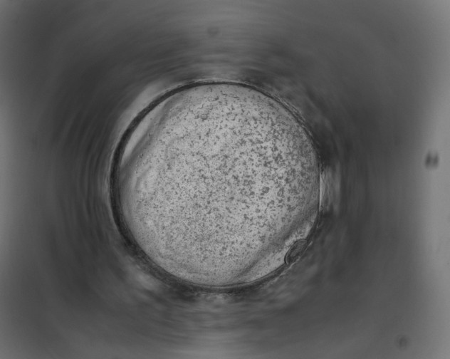 X0000102030195200808081820