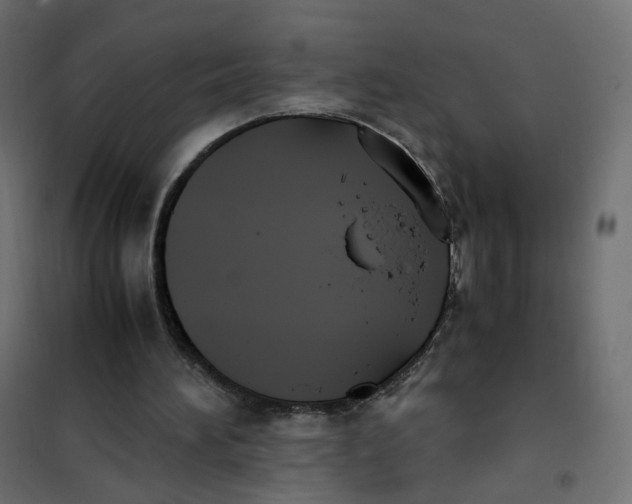 X0000102030196200808081820