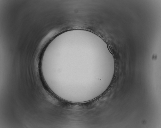 X0000102030197200808081820