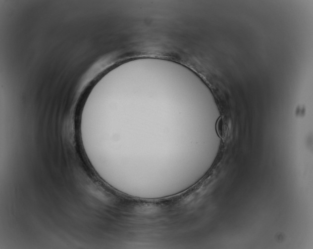 X0000102030198200808081820