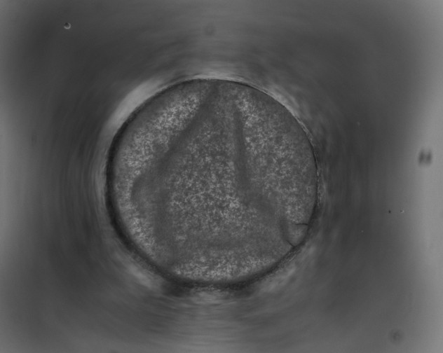 X0000102030199200808081820