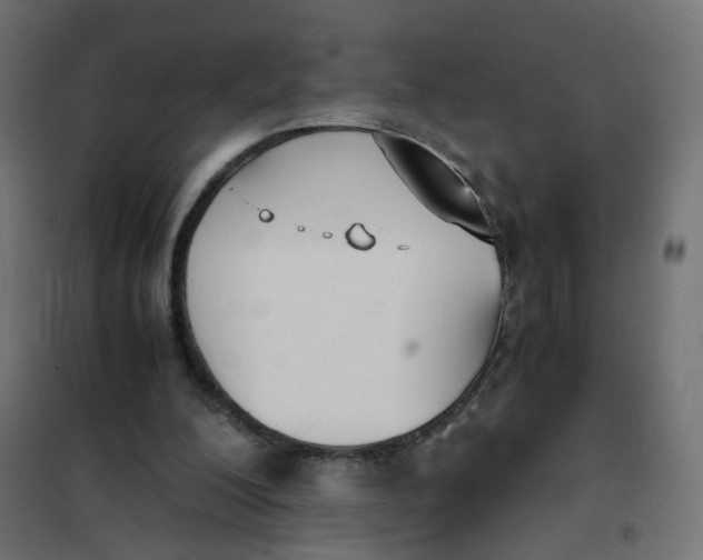 X0000102030200200808081820