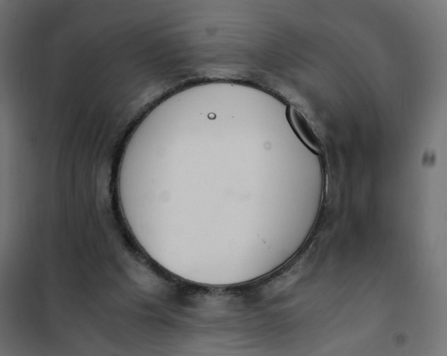 X0000102030201200808081820