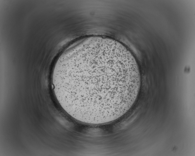 X0000102030203200808081820