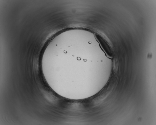 X0000102030204200808081820