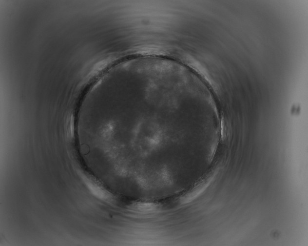 X0000102030205200808081820